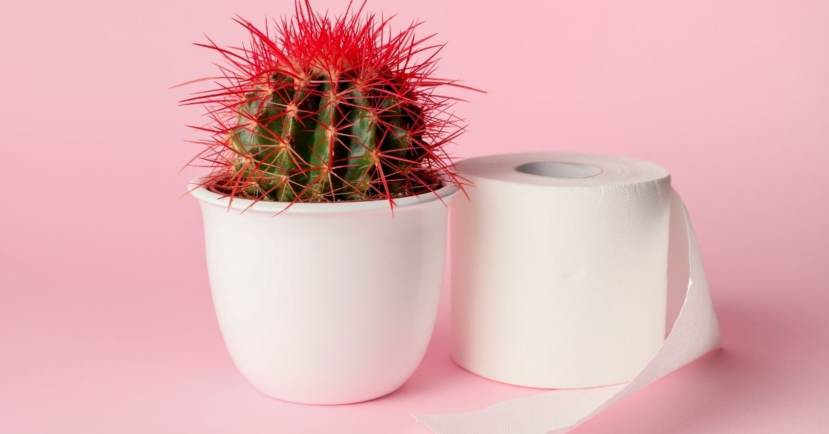 Anal koz bilan qarash